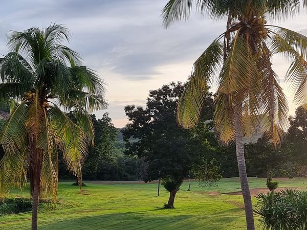 Hua Hin Korea Golf Club amp Milpordparadise Hotel nbsp golf course twilight tree and grass