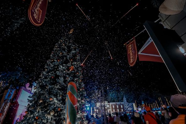 Rancho Charnvee Resort Khaoyai amp CountryClub ที่พักเขาใหญ่ ที่เที่ยวเขาใหญ่ nbsp 2 people christmas tree and Tokyo Tower