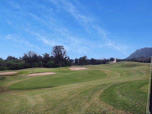 golf course nature and grass golf course nature and grass