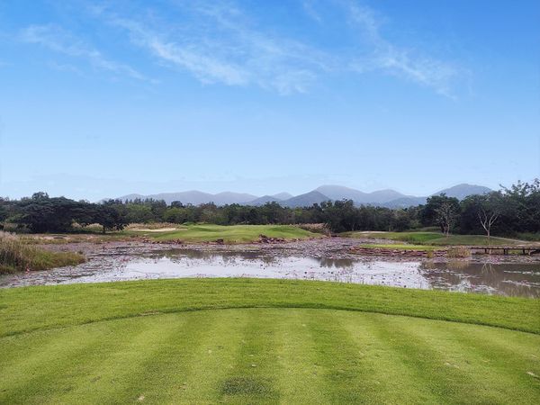 nature grass and golf course nature grass and golf course