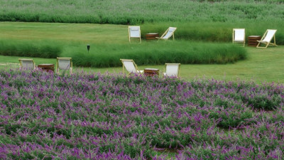 Our Secret Garden is in its full bloom once again!  Come to Kirimaya around this time and admire the most breathtaking view that nature can provide while being fully provided with all the facilities you need. Don't miss this opportunity of the year to enj
