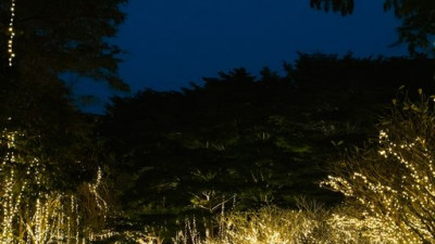 As the year is nearing its end, all of us will come together to celebrate the coming of another year to arrive. At Kirimaya, we're holding another annual show of light, setting the whole place bright to represent the joy we've had over the past and the ho