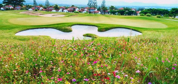 My Ozone Golf Club Khaoyai golf course grass and nature My Ozone Golf Club Khaoyai golf course grass and nature