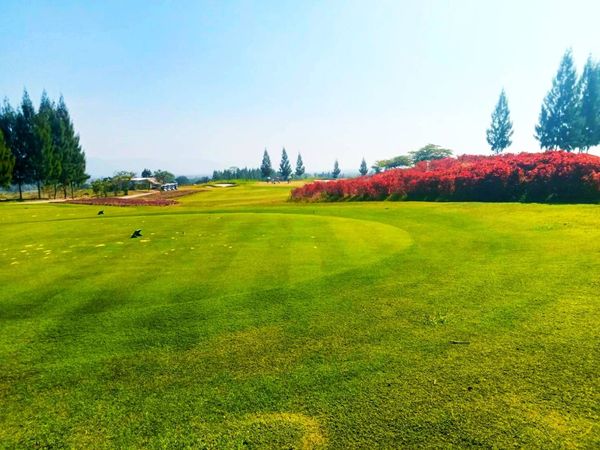 My Ozone Golf Club Khaoyai grass nature and golf course My Ozone Golf Club Khaoyai grass nature and golf course