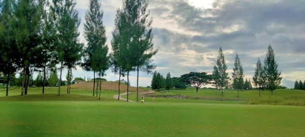 My Ozone Golf Club Khaoyai 1 person golf course nature grass and tree My Ozone Golf Club Khaoyai 1 person golf course nature grass and tree