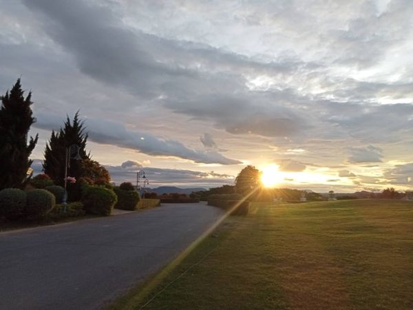 My Ozone Golf Club Khaoyai nature tree twilight and sky My Ozone Golf Club Khaoyai nature tree twilight and sky