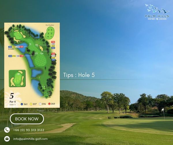 Palm Hills Golf Club amp Residence golf course grass and text
