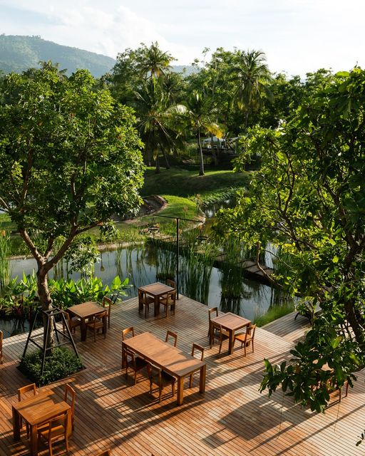 Kirimaya Khao Yai tree and outdoors