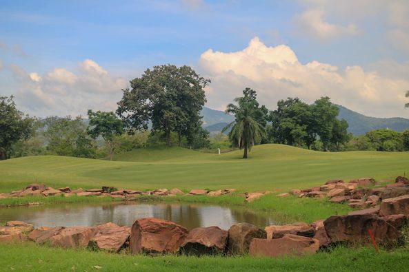 Lake View Resort amp Golf Club grass tree nature and golf course
