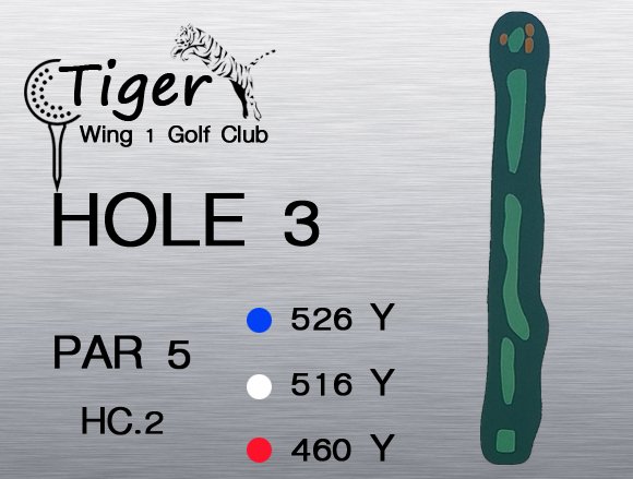 Tiger Wing 1 Golf Club-3