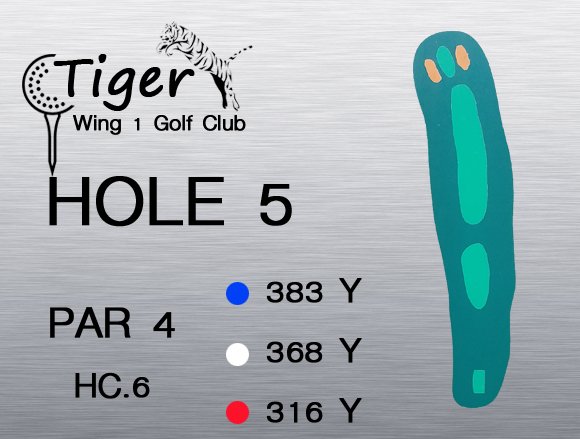 Tiger Wing 1 Golf Club-5
