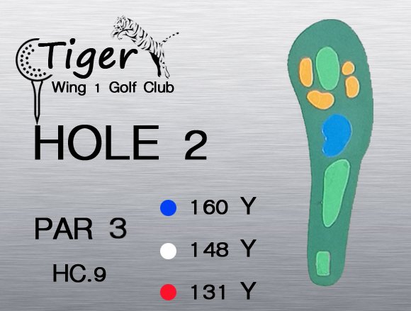 Tiger Wing 1 Golf Club