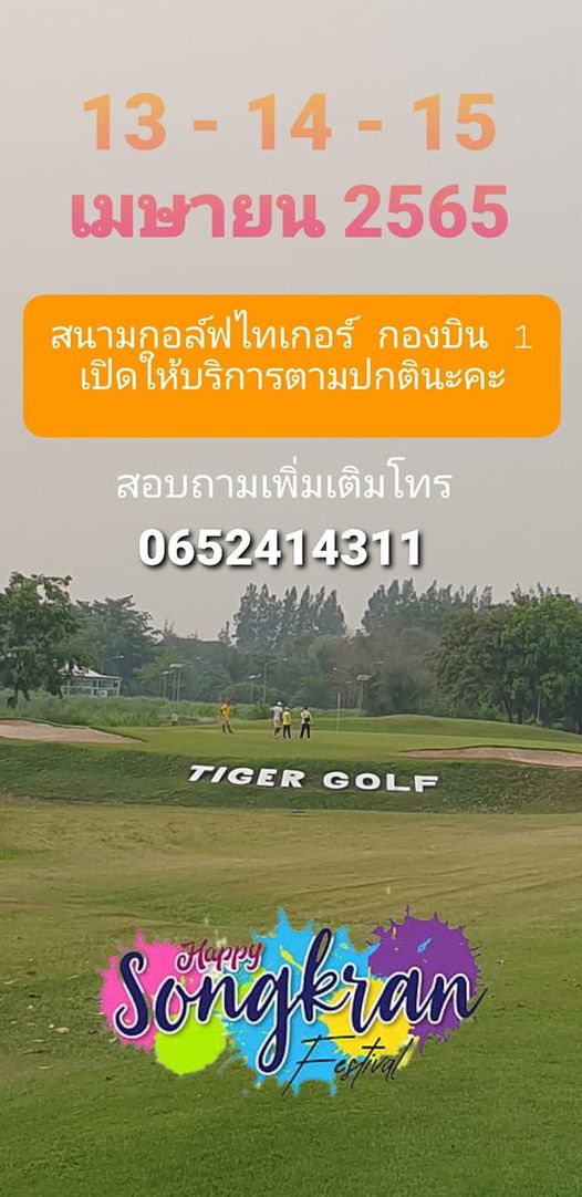 Tiger Wing 1 Golf Club