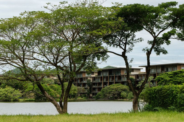 Kirimaya Khao Yai tree