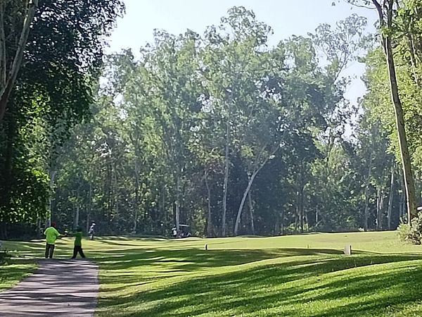Wangjuntr Golf Park 3 people golf course grass tree and nature Wangjuntr Golf Park 3 people golf course grass tree and nature