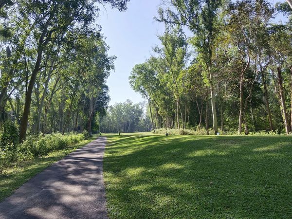 Wangjuntr Golf Park road tree grass and nature Wangjuntr Golf Park road tree grass and nature