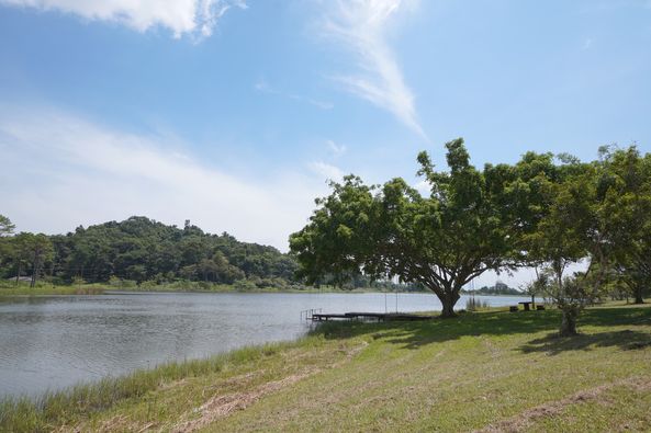 Chatrium Golf Resort Soi Dao Chanthaburi tree nature sky and lake Chatrium Golf Resort Soi Dao Chanthaburi tree nature sky and lake