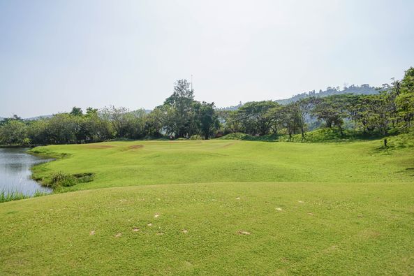 Wangjuntr Golf Park nature grass and golf course Wangjuntr Golf Park nature grass and golf course
