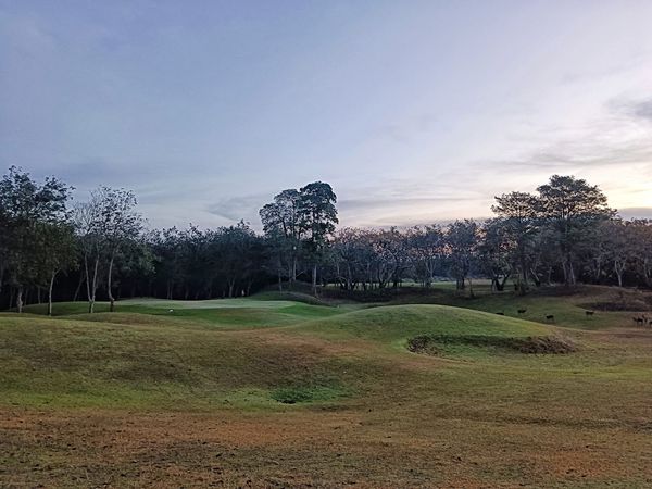Wangjuntr Golf Park nature grass tree and golf course Wangjuntr Golf Park nature grass tree and golf course