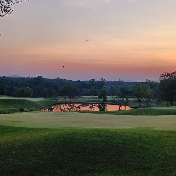 Wangjuntr Golf Park grass nature and golf course Wangjuntr Golf Park grass nature and golf course