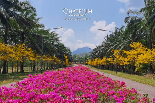 Chatrium Golf Resort Soi Dao Chanthaburi