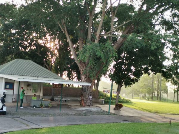 Greenwood Golf Club 2 คน และ ต้นไม้