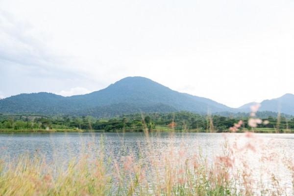 Chatrium Golf Resort Soi Dao Chanthaburi lake mountain and grass