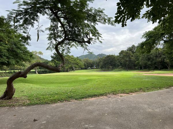 Bangpra Golf Club and Resort golf grass golf course and Angel Oak tree