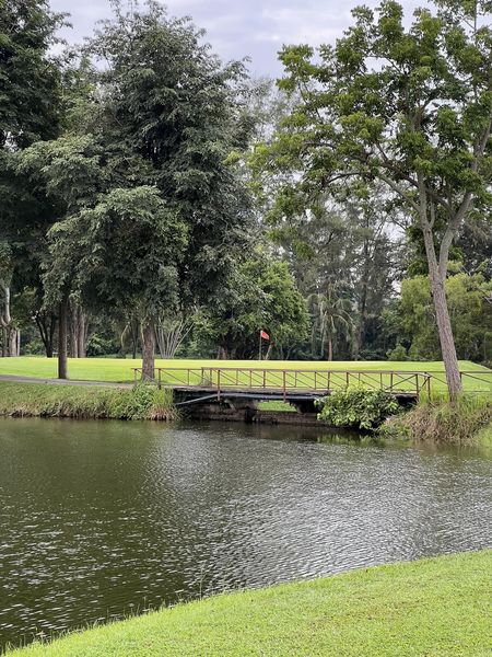 Bangpra Golf Club and Resort golf tree grass body of water and golf course