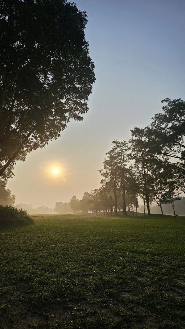 Greenwood Golf Club nbsp grass tree horizon fog and twilight
