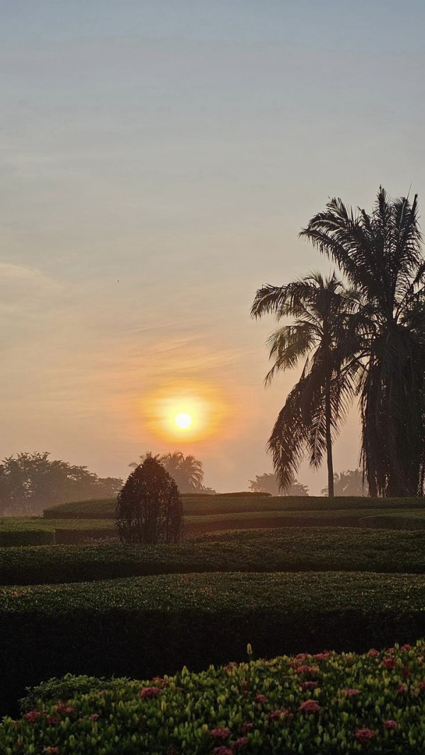 Greenwood Golf Club nbsp tree grass golf course fog horizon cloud nature and twilight