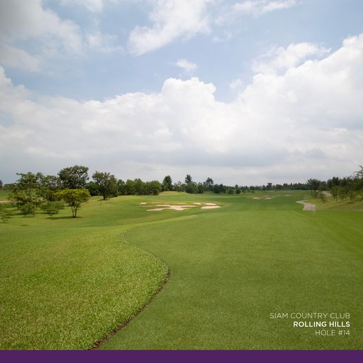 grass golf course and nature grass golf course and nature