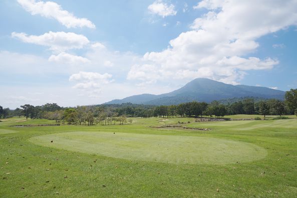 nature golf course and grass nature golf course and grass