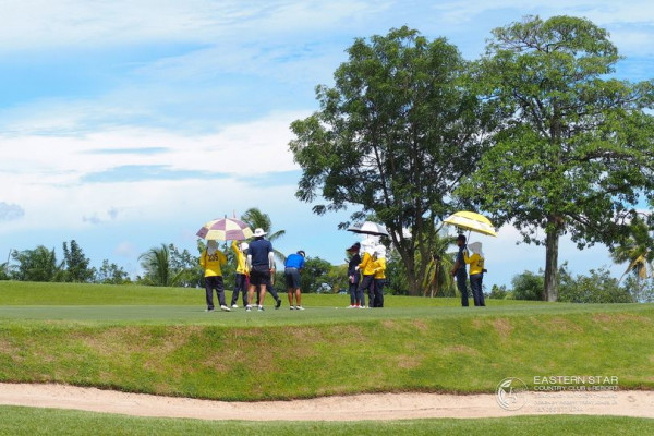 7 people people standing grass and tree
