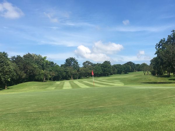 golf course grass and nature golf course grass and nature