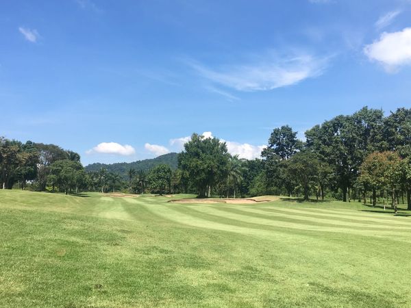 golf course grass tree and nature golf course grass tree and nature