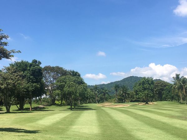 nature golf course and grass nature golf course and grass