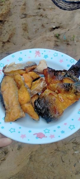 food-5 food-5