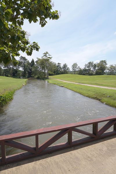 body of water nature grass and tree body of water nature grass and tree
