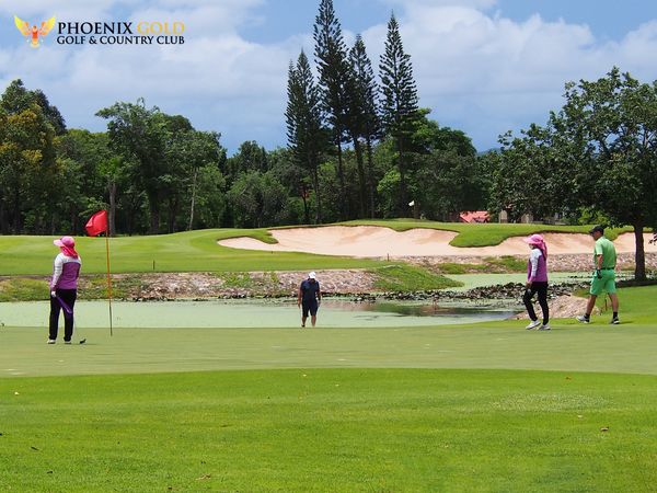 4 people people playing sports golf course grass nature and PHOENIX GOLD GOLF COUNTRY CLUB 1 3 B 4 people people playing sports golf course grass nature and PHOENIX GOLD GOLF COUNTRY CLUB 1 3 B