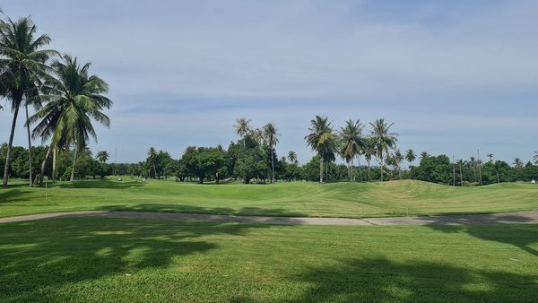 nature golf course and grass nature golf course and grass