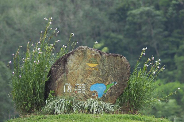 content-image-0.jpg