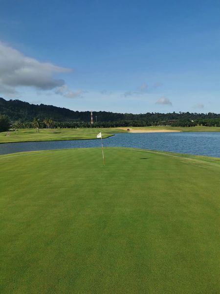 golf course grass and nature golf course grass and nature