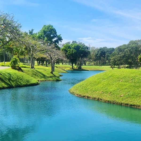 Blue Canyon Country Club nature tree grass and body of water Blue Canyon Country Club nature tree grass and body of water