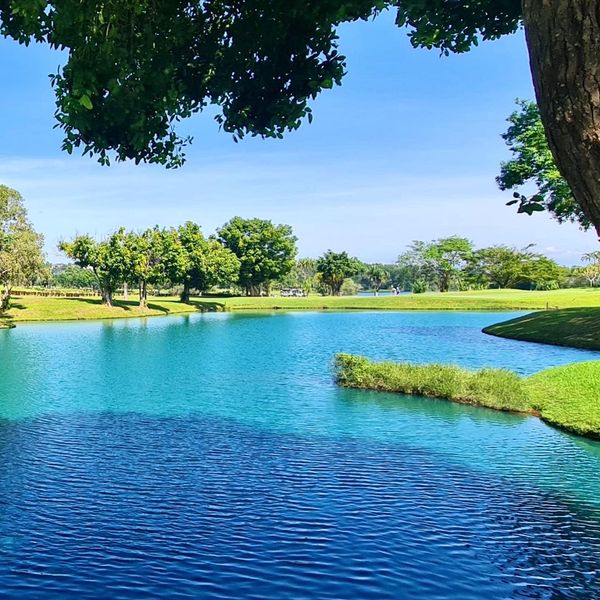 Blue Canyon Country Club tree lake and nature Blue Canyon Country Club tree lake and nature
