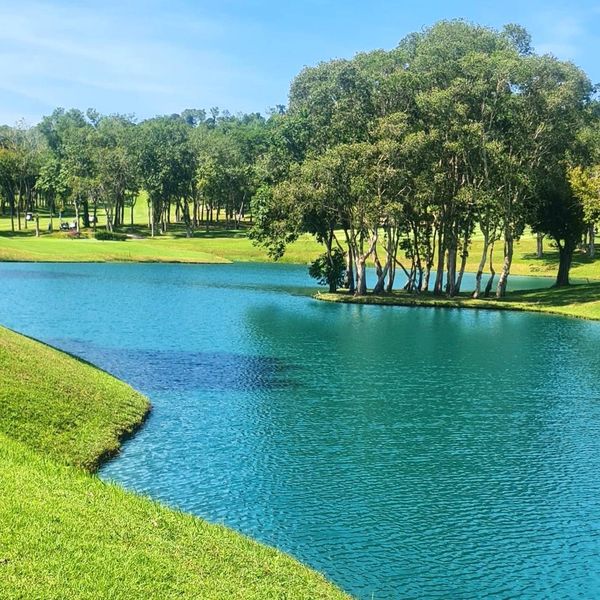 Blue Canyon Country Club tree lake golf course nature and grass Blue Canyon Country Club tree lake golf course nature and grass