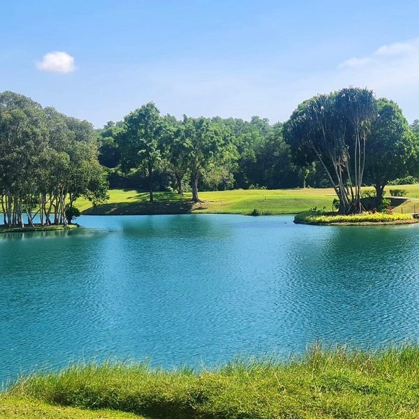 Blue Canyon Country Club tree nature grass golf course and lake Blue Canyon Country Club tree nature grass golf course and lake