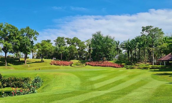 Blue Canyon Country Club golf course grass and nature Blue Canyon Country Club golf course grass and nature