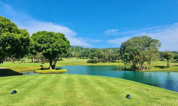 Blue Canyon Country Club grass nature golf course and tree Blue Canyon Country Club grass nature golf course and tree