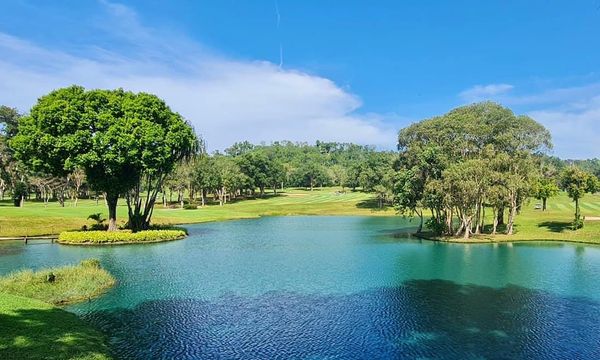 Blue Canyon Country Club tree and nature Blue Canyon Country Club tree and nature